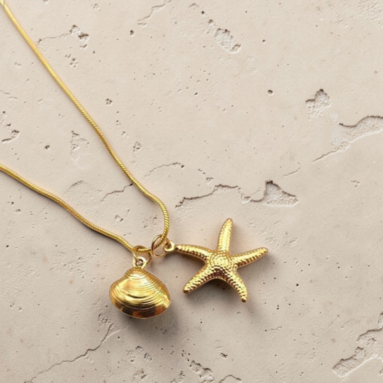 Stainless Steel Starfish & Shell Pendant Necklace - 316 Stainless Steel Starfish & Shell Pendant Necklace - 316
